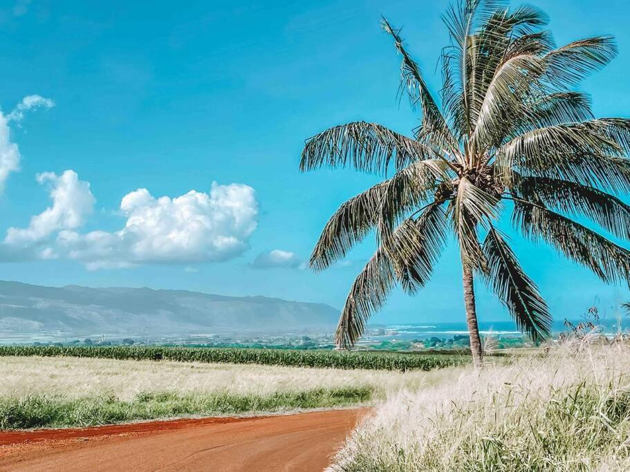 فندق Cute Off Grid Glampsite With Wifi- 5 Min From Haleiwa Town المظهر الخارجي الصورة