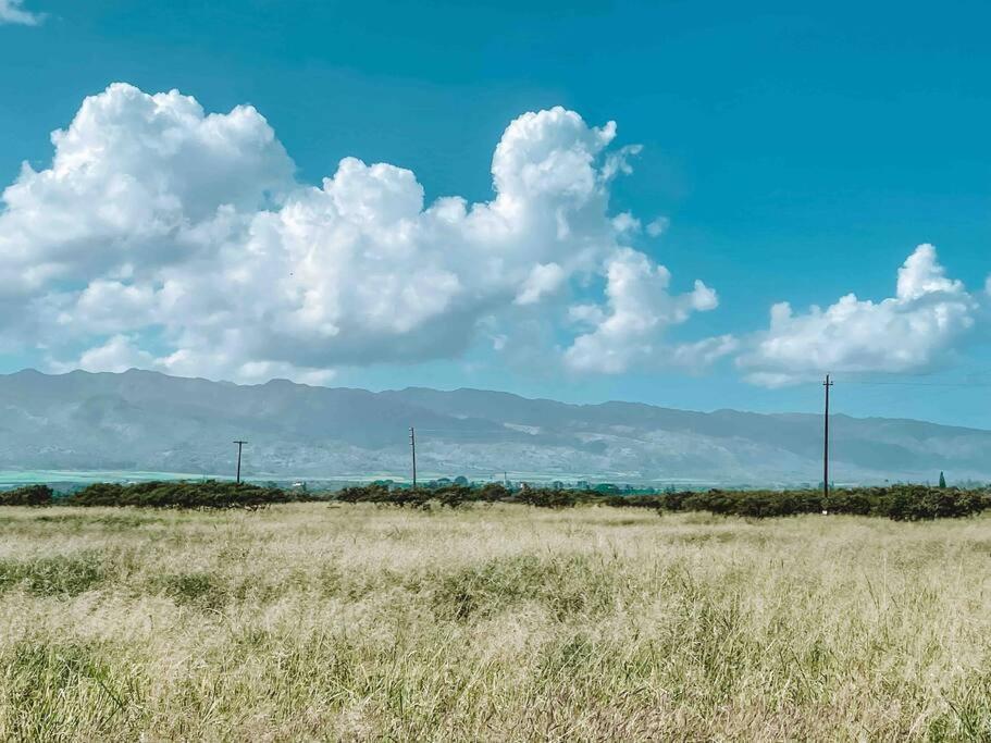 فندق Cute Off Grid Glampsite With Wifi- 5 Min From Haleiwa Town المظهر الخارجي الصورة