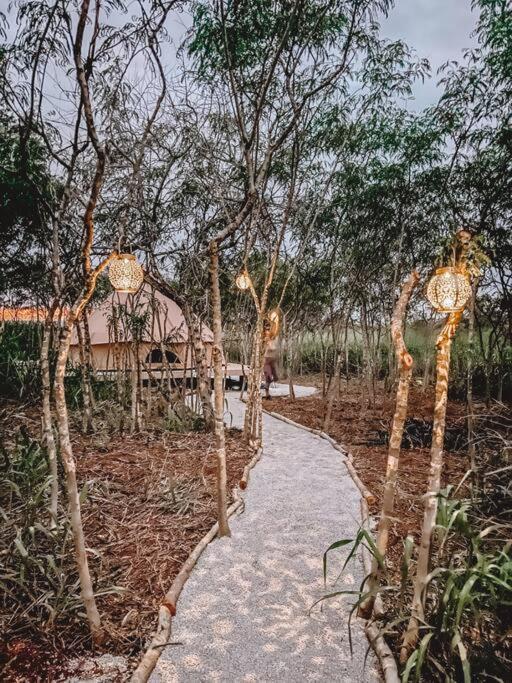 فندق Cute Off Grid Glampsite With Wifi- 5 Min From Haleiwa Town المظهر الخارجي الصورة