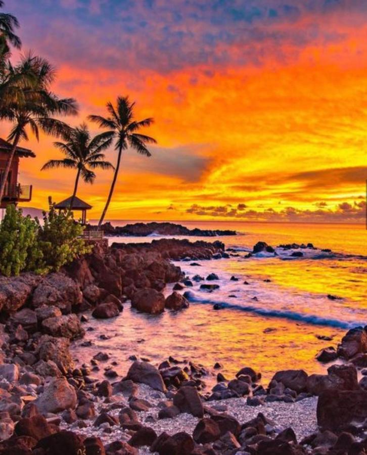 فندق Cute Off Grid Glampsite With Wifi- 5 Min From Haleiwa Town المظهر الخارجي الصورة
